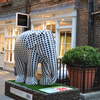 Elephant Chic