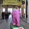 Pink Elephant