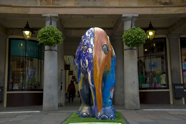 The Clonakilty Irish Elephant