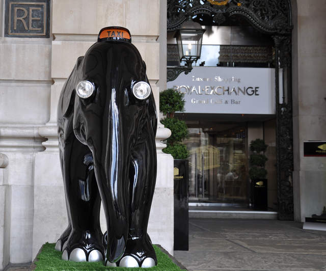 Taxi Elephant