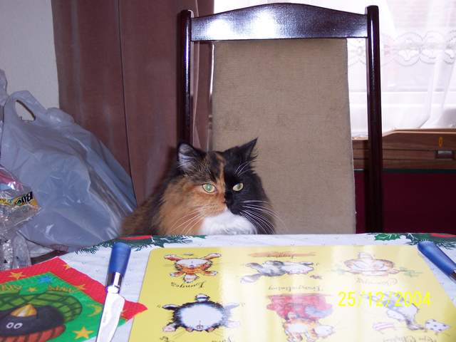 100_0428.JPG