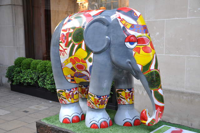 Grey Elephant