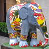 Grey Elephant