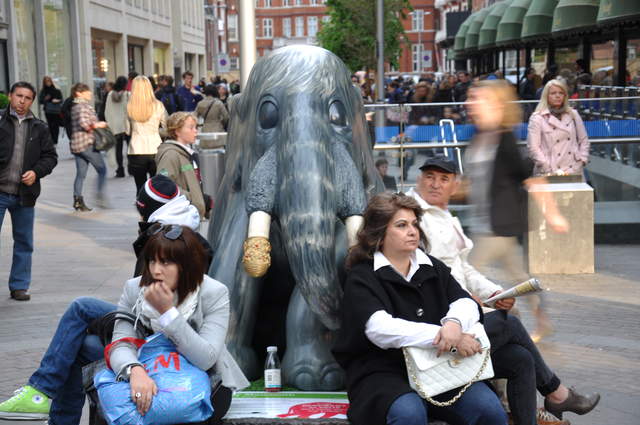 Woolly Mammoth