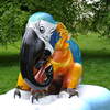 Blue Macaw