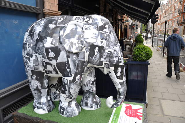 Elephant Ladyland