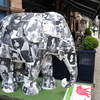 Elephant Ladyland
