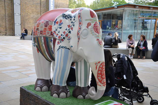The Elephant in the Room