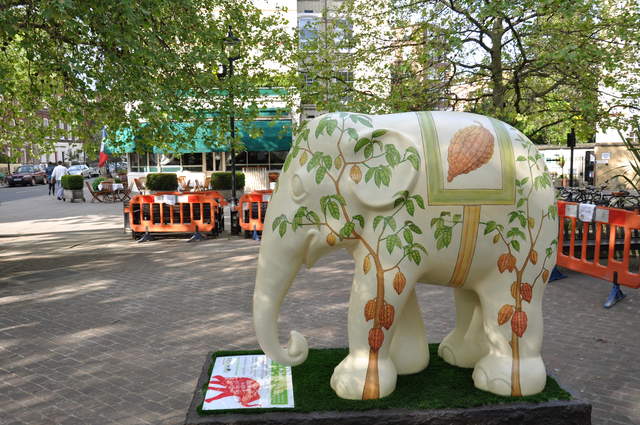 Cocoa the Elephant