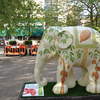Cocoa the Elephant