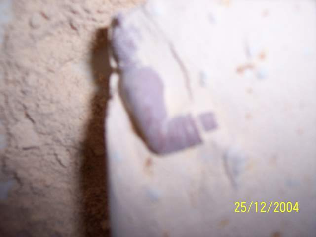100_0444.JPG