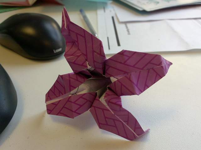 25052010205.jpg