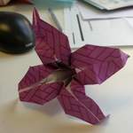 25052010205.jpg