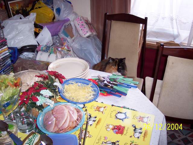100_0449.JPG