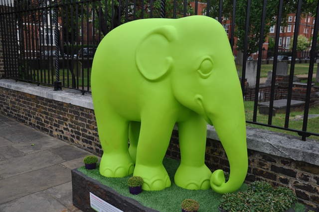 Bonus Elephant #2 - HELP! Stand-in, while he was being returfed