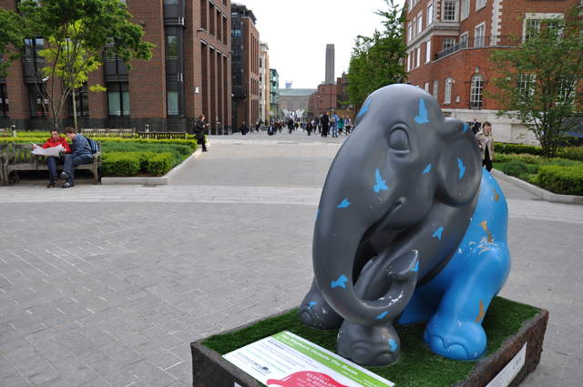 The Elephant Outside the Room