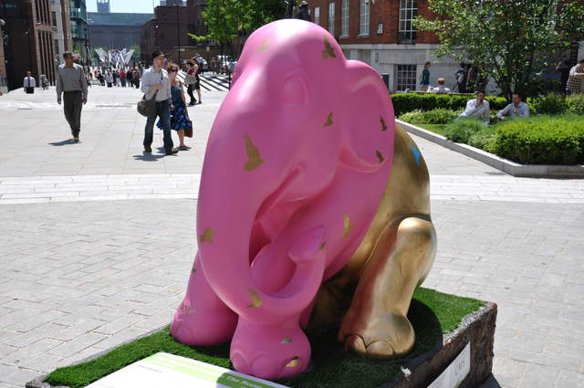 The Elephant Outside the Room