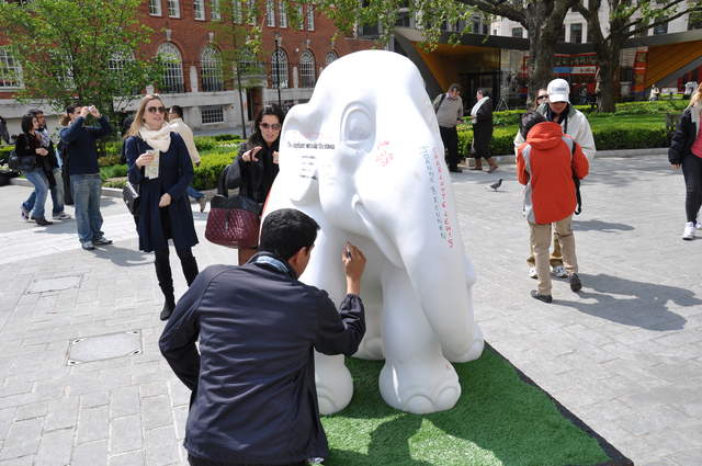 The Elephant Outside the Room