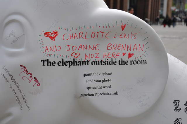 The Elephant Outside the Room