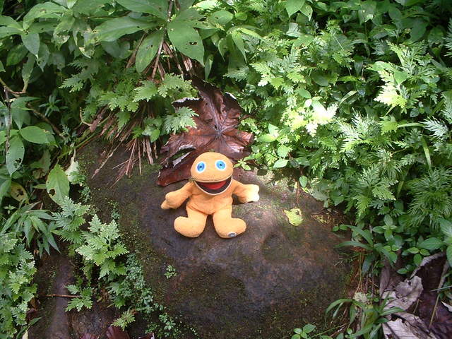 Taking a small resting break from his hike to the waterfalls