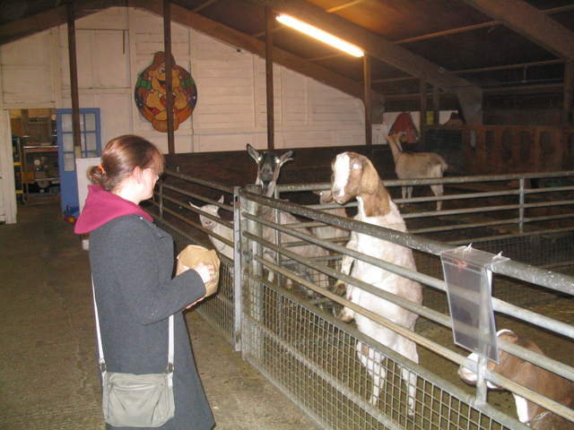 goats 013.jpg