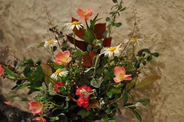 DSC_0015.JPG