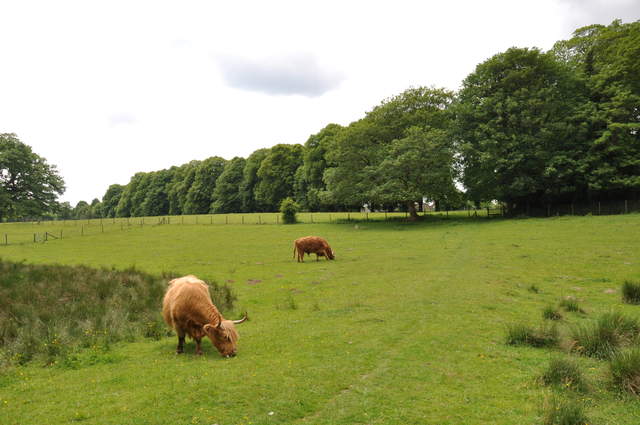 DSC_0305.JPG