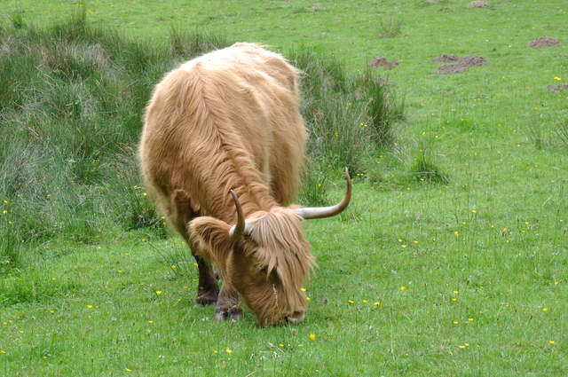 DSC_0307.JPG