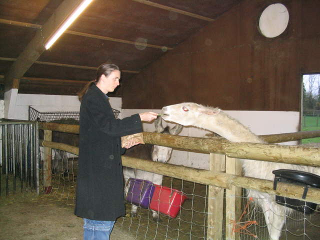 goats 031.jpg