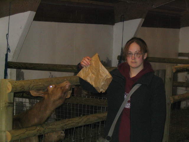 goats 040.jpg