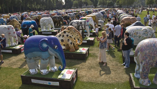 Elephants as far as the eye can see