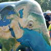 Gaia Elephant