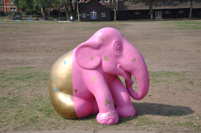 The Elephant Outside the Room