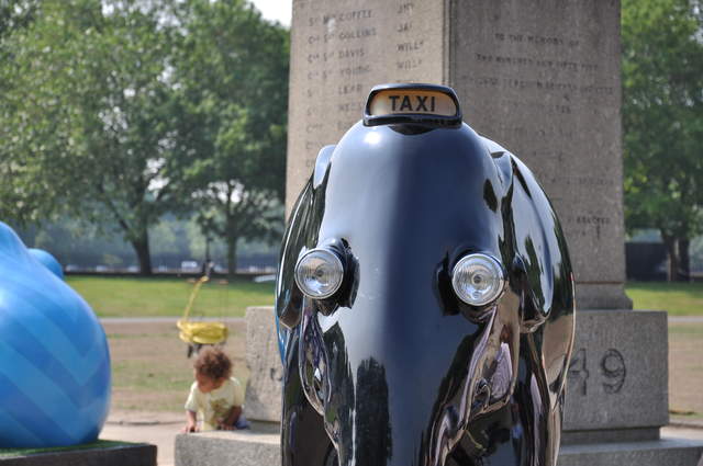 Taxi Elephant