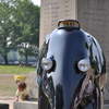 Taxi Elephant