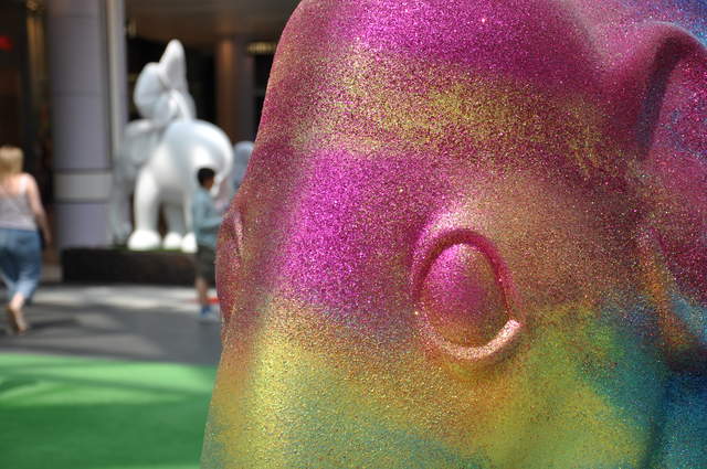 DSC_0245.JPG