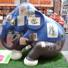 f12461376.jpg
