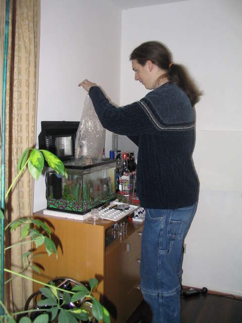Kev, lowering Bailey's and Tequila into their new home