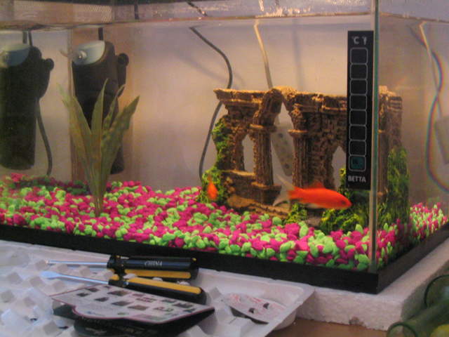 Tequila (left), Bailey's (right)