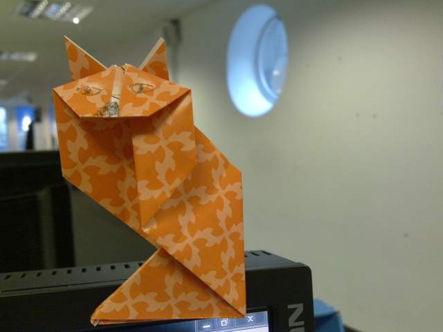 06102010234.jpg