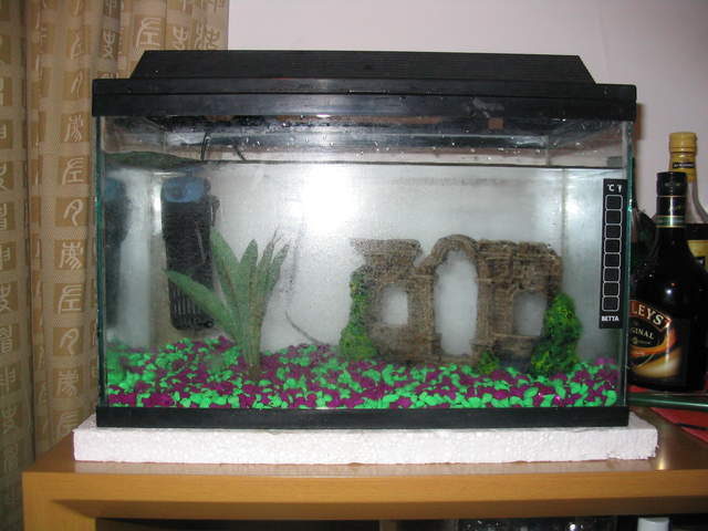 Thanksgiving2004 017.jpg