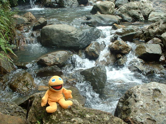 Its a small waterfall but its still breathtaking to Zippy