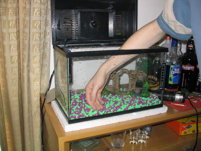 Thanksgiving2004 007.jpg
