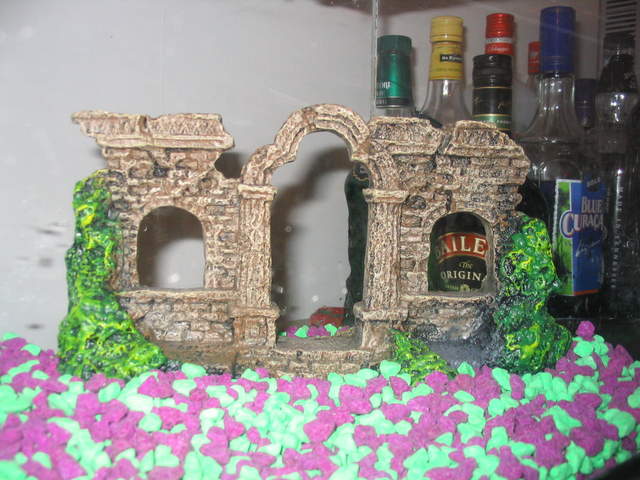 Thanksgiving2004 008.jpg