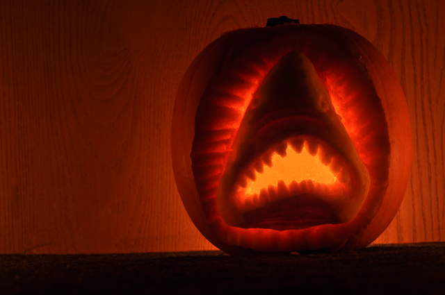 Jaws
