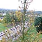 legoland2005 058.jpg