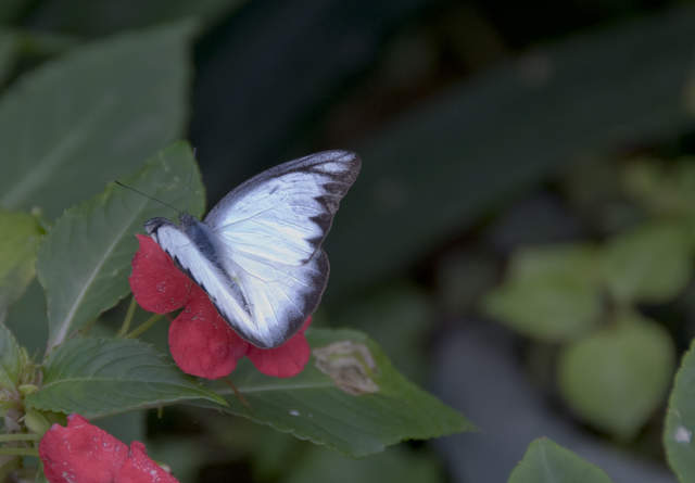 DSC_0270.JPG