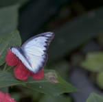 DSC_0270.JPG