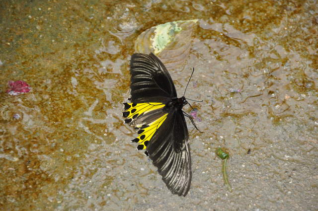 DSC_0313.JPG