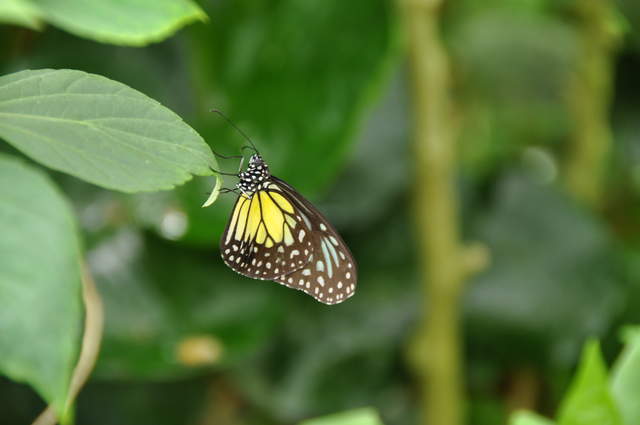 DSC_0293.JPG